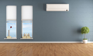 New Heat Pump Technology and Ductless Multi Use Systems